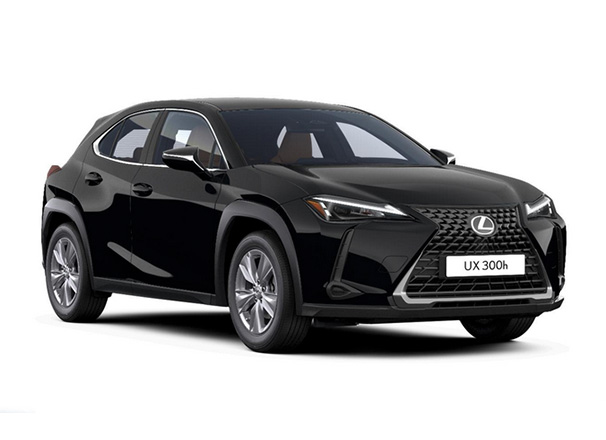 Lexus UX-300e